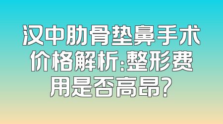 汉中肋骨垫鼻手术价格解析：整形费用是否高昂？