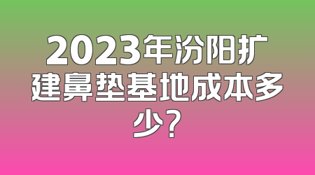 2023年汾阳扩建鼻垫基地成本多少？
