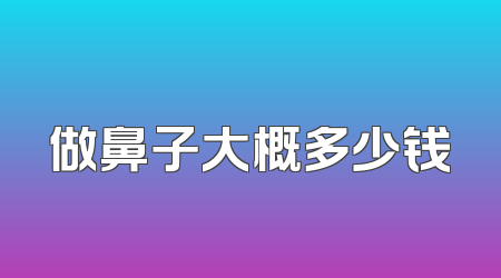 做鼻子大概多少钱
