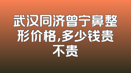 武汉同济曾宁鼻整形价格，多少钱贵不贵
