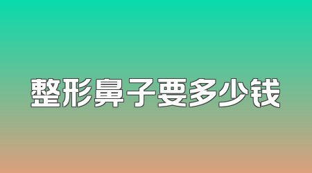 整形鼻子要多少钱