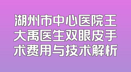 湖州市中心医院王大禹医生双眼皮手术费用与技术解析