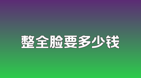 整全脸要多少钱