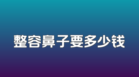 整容鼻子要多少钱