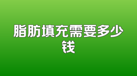 脂肪填充需要多少钱