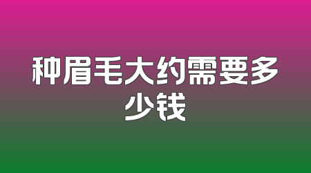 种眉毛大约需要多少钱