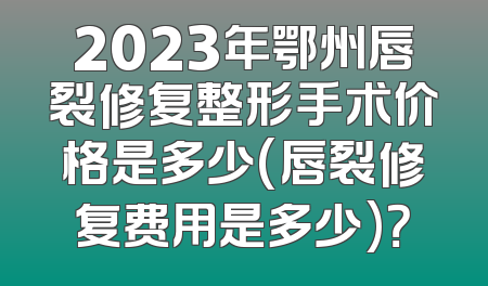 2023年鄂州唇裂修复整形手术价格是多少(唇裂修复费用是多少)？