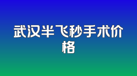 武汉半飞秒手术价格