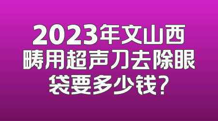 2023年文山西畴用超声刀去除眼袋要多少钱？