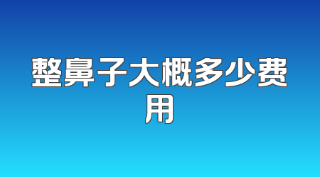 整鼻子大概多少费用