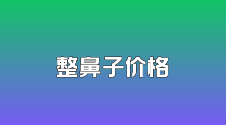 整鼻子价格