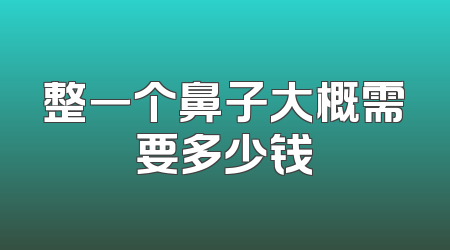 整一个鼻子大概需要多少钱