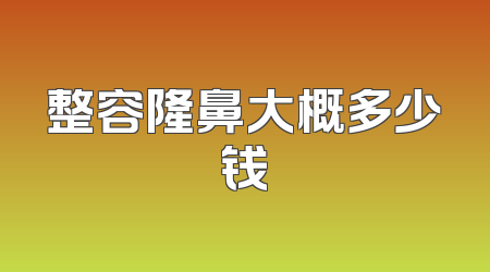 整容隆鼻大概多少钱