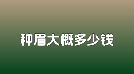种眉大概多少钱