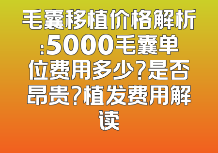 毛囊移植价格解析：5000毛囊单位费用多少？是否昂贵？植发费用解读