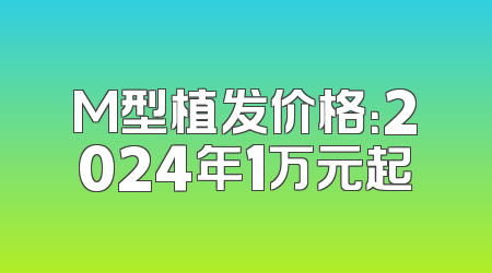 M型植发价格：2024年1万元起