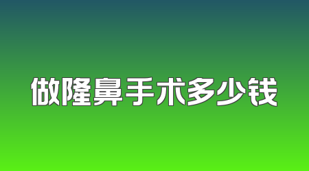 做隆鼻手术多少钱