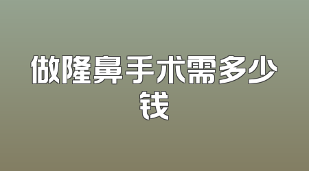 做隆鼻手术需多少钱