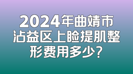 2024年曲靖市沾益区上睑提肌整形费用多少？