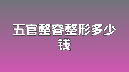 五官整容整形多少钱