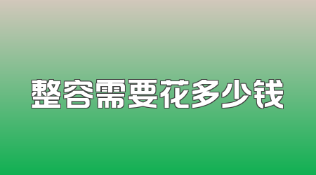 整容需要花多少钱