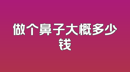 做个鼻子大概多少钱