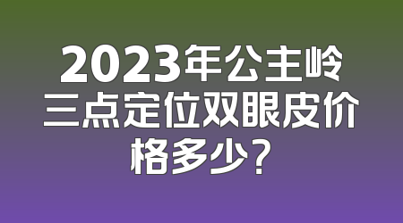 2023年公主岭三点定位双眼皮价格多少？