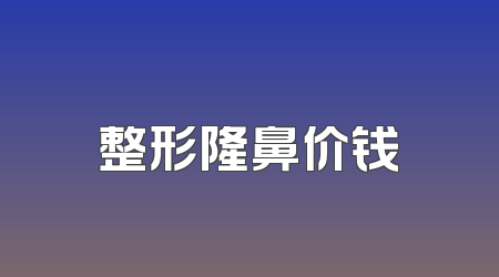 整形隆鼻价钱