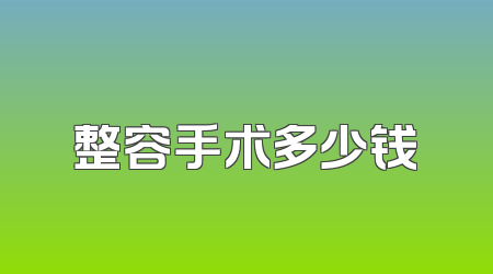 整容手术多少钱