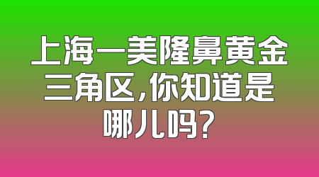 上海一美隆鼻黄金三角区，你知道是哪儿吗？