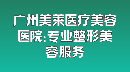 广州美莱医疗美容医院：专业整形美容服务