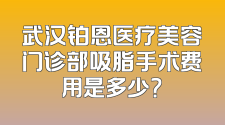 武汉铂恩医疗美容门诊部吸脂手术费用是多少？