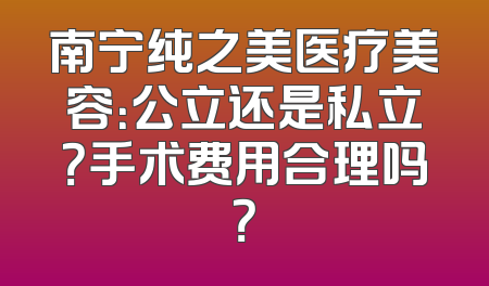 南宁纯之美医疗美容：公立还是私立？手术费用合理吗？