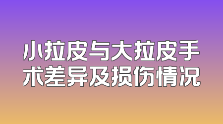 小拉皮与大拉皮手术差异及损伤情况