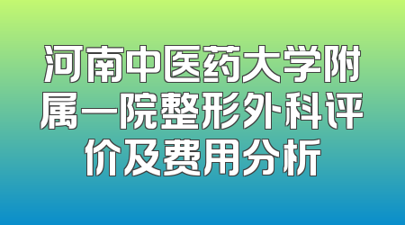 河南中医药大学附属一院整形外科评价及费用分析