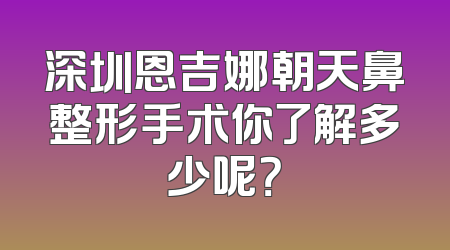 深圳恩吉娜朝天鼻整形手术你了解多少呢？