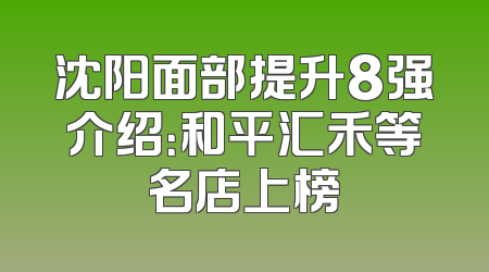 沈阳面部提升8强介绍：和平汇禾等名店上榜