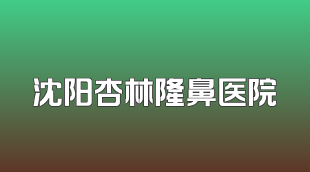 沈阳杏林隆鼻医院