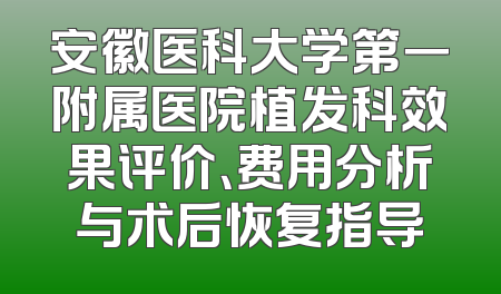 安徽医科大学第一附属医院植发科效果评价、费用分析与术后恢复指导