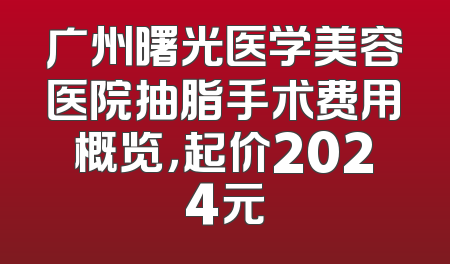 广州曙光医学美容医院抽脂手术费用概览，起价2024元