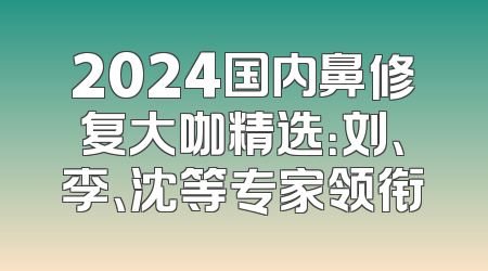 2024国内鼻修复大咖精选：刘、李、沈等专家领衔