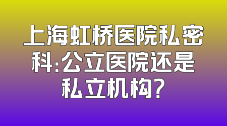 上海虹桥医院私密科：公立医院还是私立机构？