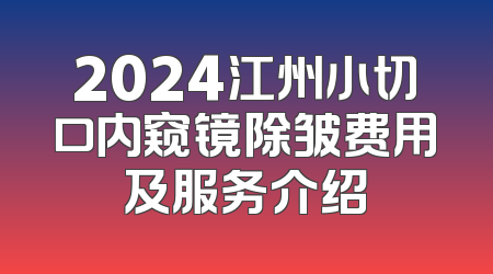 2024江州小切口内窥镜除皱费用及服务介绍
