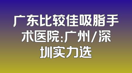 广东比较佳吸脂手术医院：广州/深圳实力选