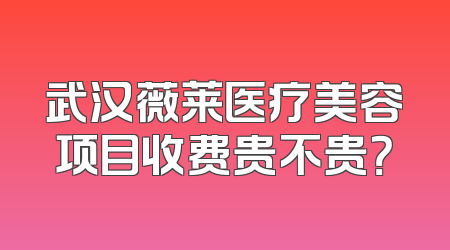 武汉薇莱医疗美容项目收费贵不贵？