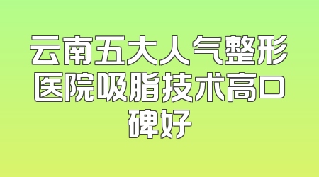 云南五大人气整形医院吸脂技术高口碑好
