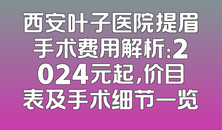 西安叶子医院提眉手术费用解析：2024元起，价目表及手术细节一览