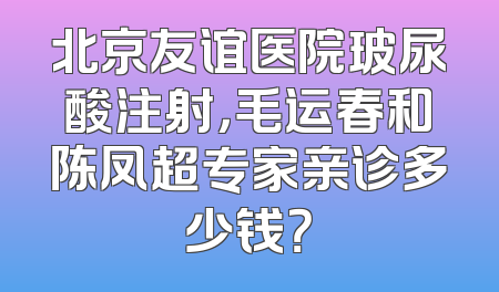 北京友谊医院玻尿酸注射，毛运春和陈凤超专家亲诊多少钱？