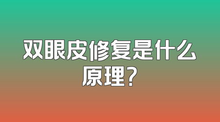 双眼皮修复是什么原理？