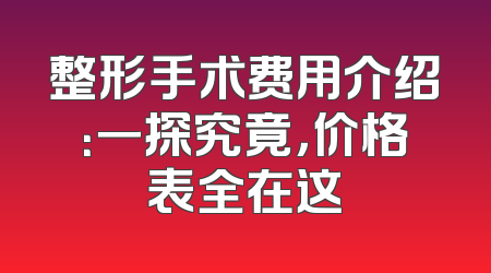 整形手术费用介绍：一探究竟，价格表全在这